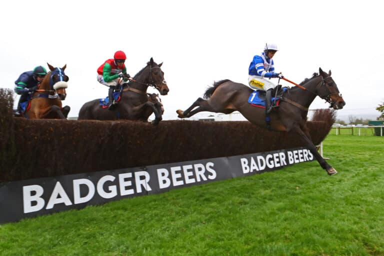 Never been to the races? Me neither…