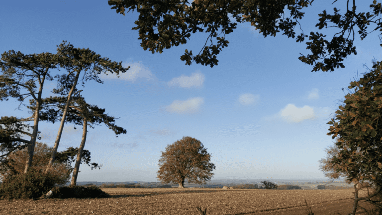 Beautiful bimble near Blandford – Nice and easy 4.5 mile circular