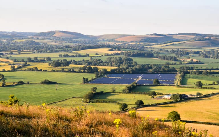 Rooftop panels versus solar farms
