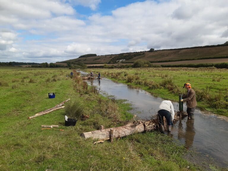 Devil’s Brook river restoration