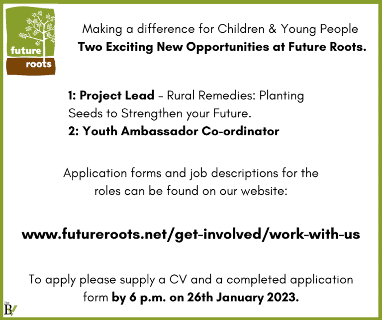 Making a difference for Children & Young People  – Two Exciting New Opportunities at Future Roots.