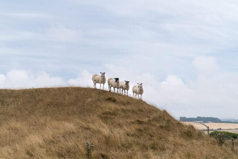 The legless marshal and complaints about farmers