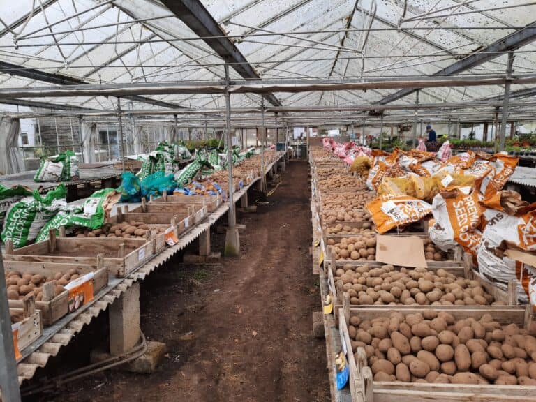 January forced a rest on the allotment | The Voice of the Allotment