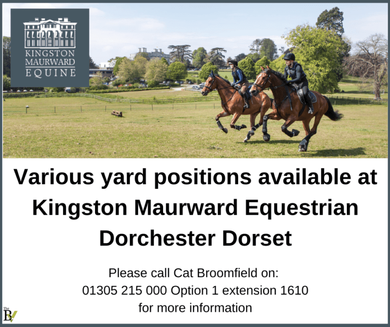 Various yard positions – Kingston Mauward Equestrian