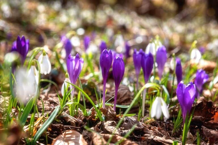 Enjoy a little outdoor pottering