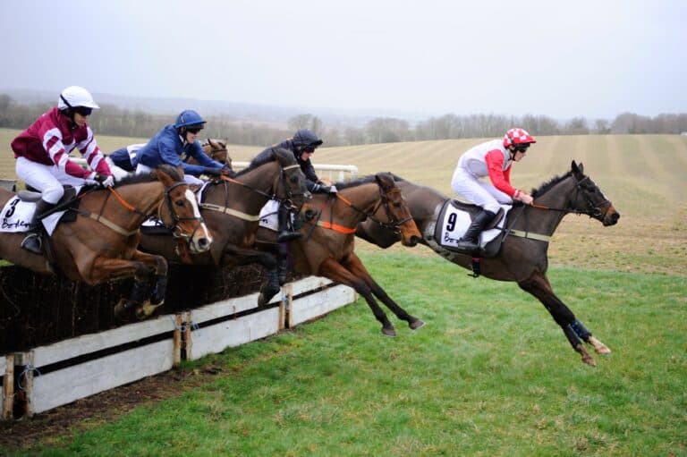 Point-to-point is back at Badbury!