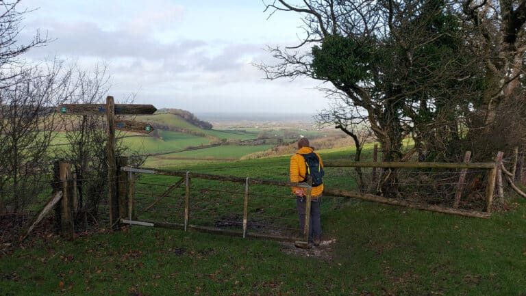 From Cheselbourne around Nettlecombe Tout | 6.3 miles