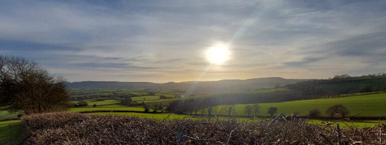An afternoon’s walk from Pilsdon Pen | 8.1 miles