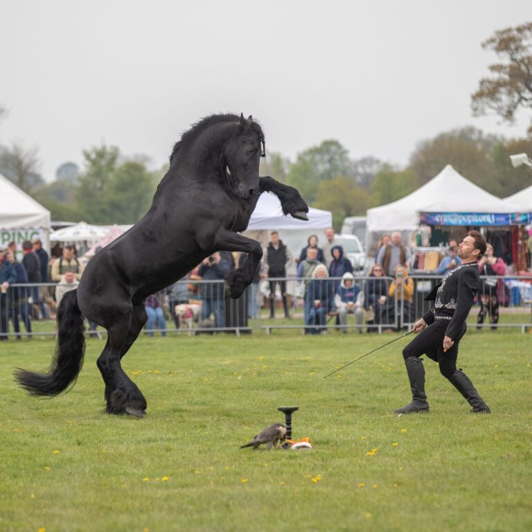 The Spring Countryside Show is BACK!