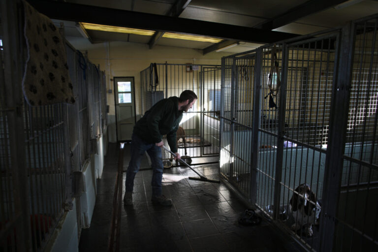 It’s a dog’s life at Branscombe