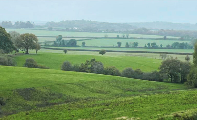 Say YES to solar, but NO to huge greenfield solar power stations