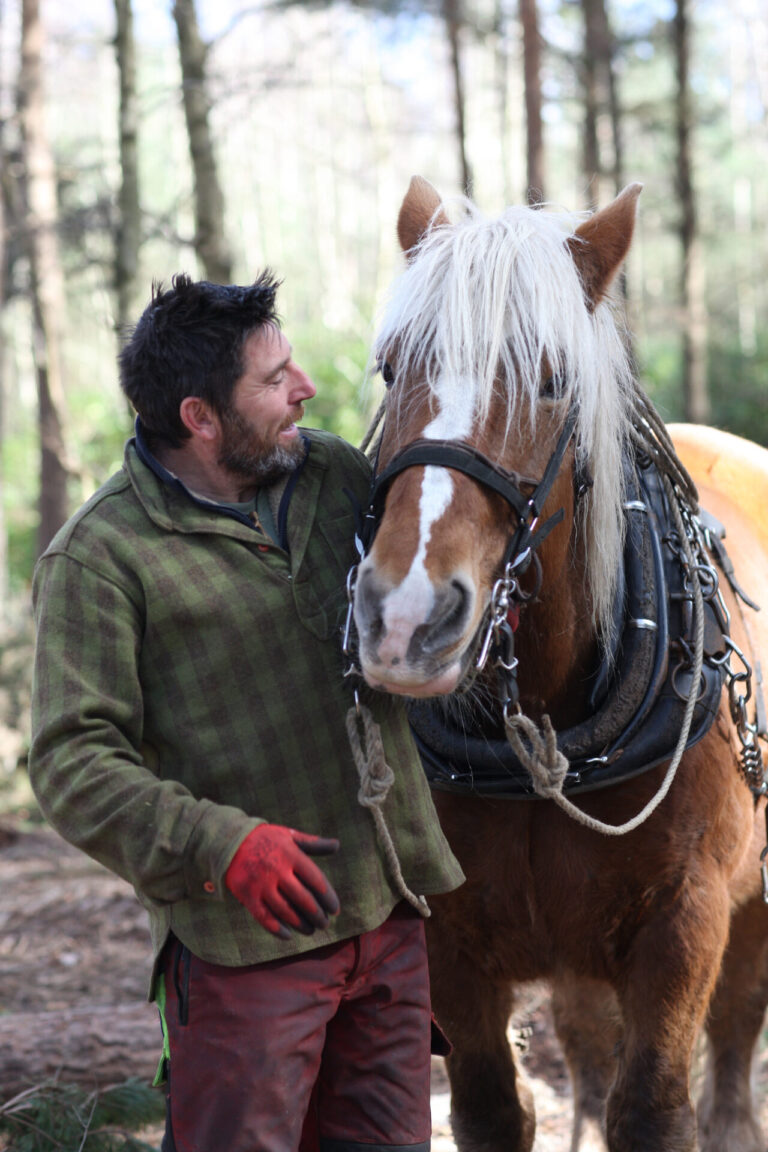 A rare horse logger, and Lizzo to Quo via Busted with Bonnie