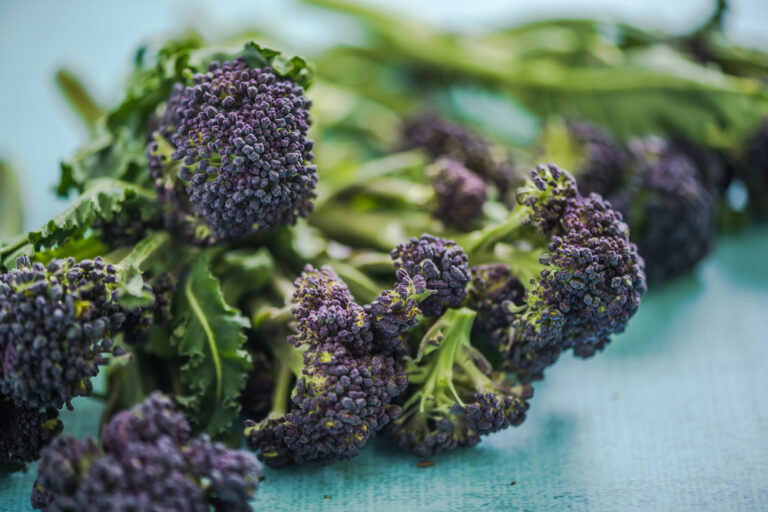 No spring brassicas, thanks to December