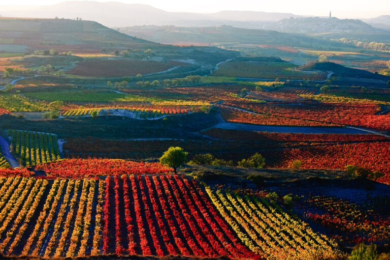 Spotlight on Spain