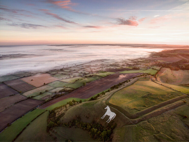 AKC provided wide farming knowledge and a huge amount of expertise and experience’