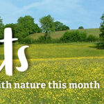 Get Outside with DWT