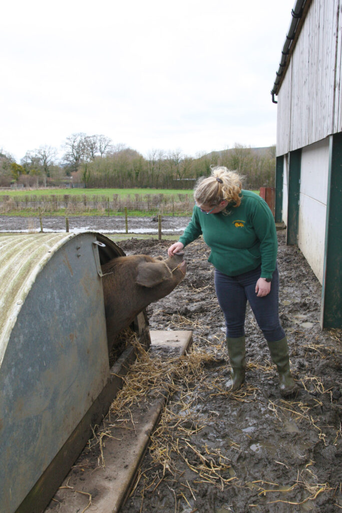 Lillie Smith and one of her OSB sows