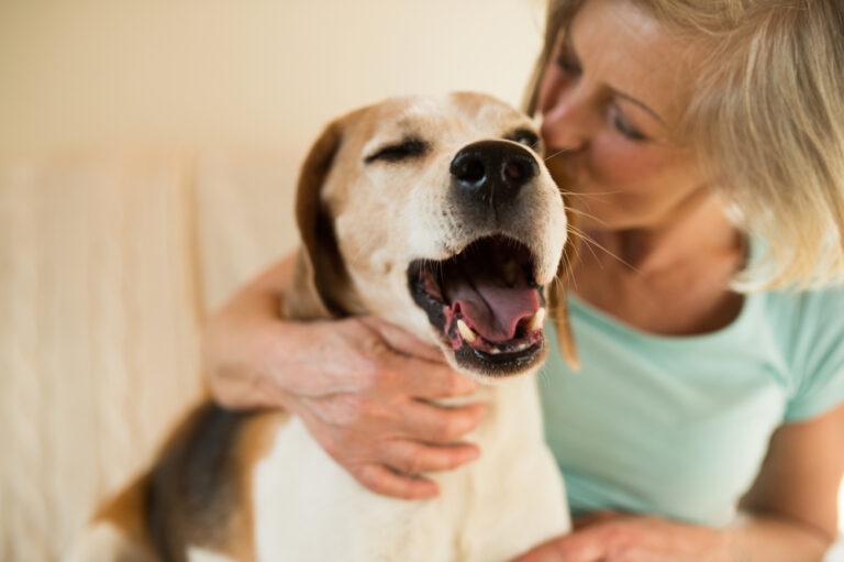 Ever thought about your own therapy pet? Everyone could benefit …