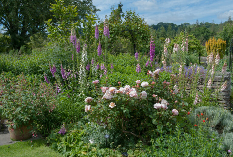 Time to get started in the garden