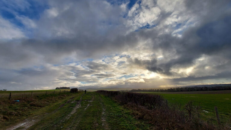 Walking Cranborne Chase from Tidpit | 8.1 miles