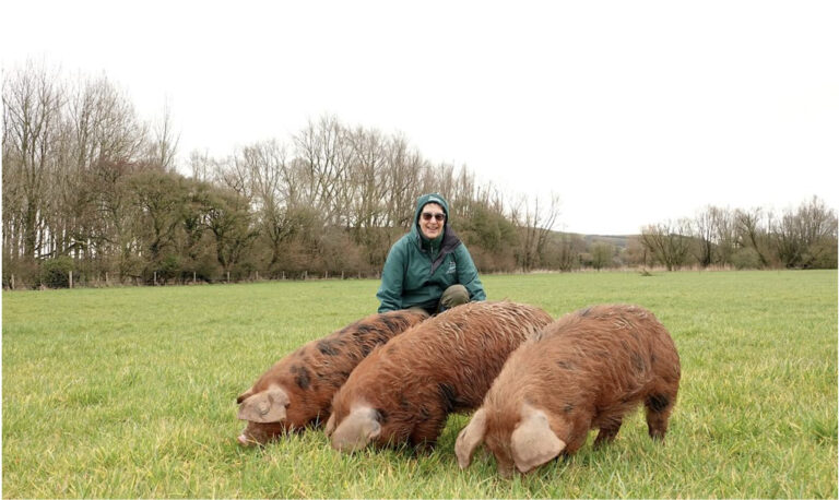 Happy as pigs in … Bere Marsh