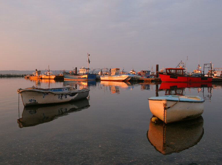 The Poole harbour oil spill will need monitoring for years
