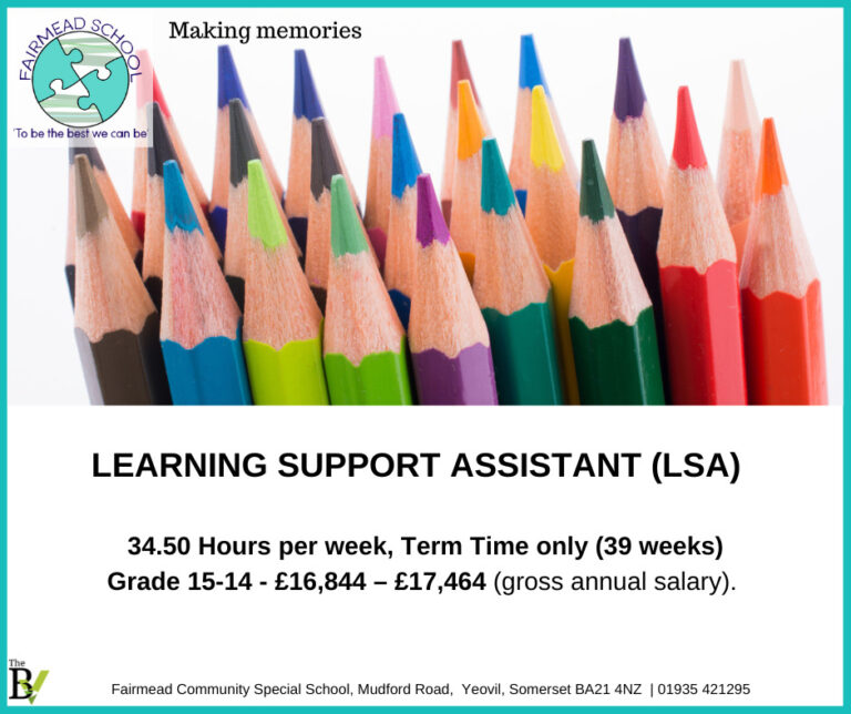 LEARNING SUPPORT ASSISTANT (LSA) | Fairmead School