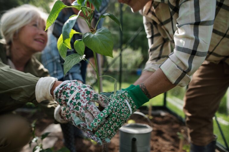 Ecotherapy, Gardening & Wellbeing