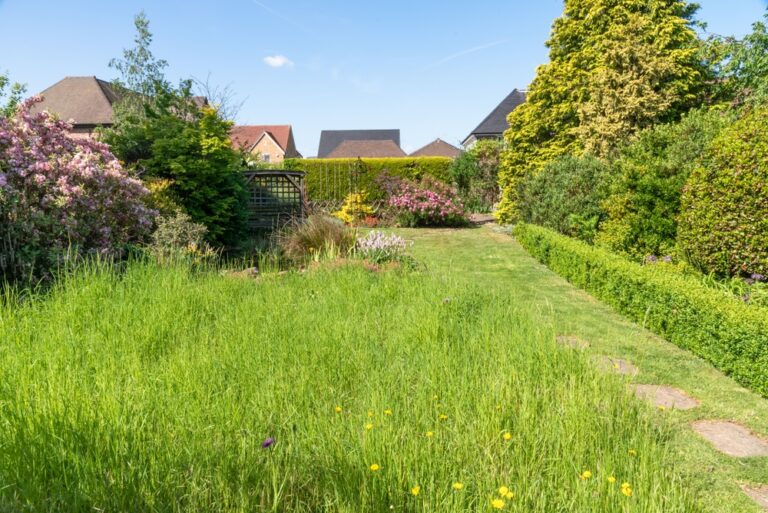 Time to get started in the garden