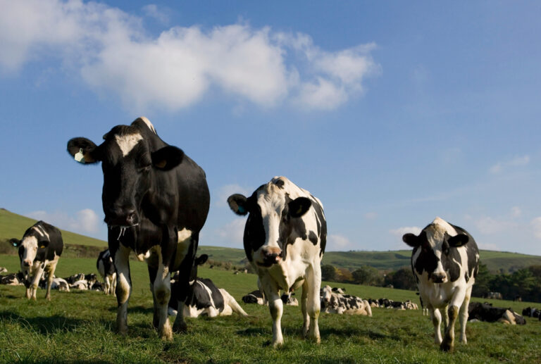 AKC bolsters its agricultural consultancy services with new skills