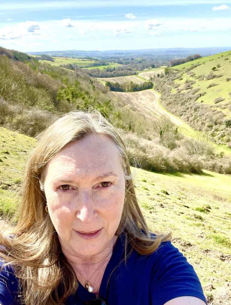 From rural countryside to critical care: Cllr Jane Somper’s massive job