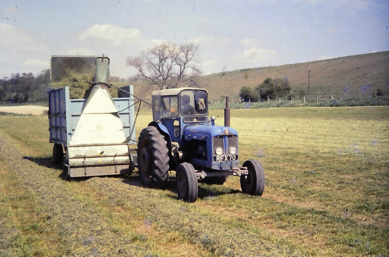 Trials, tribulations, and triumphs: a Rawston Farm update