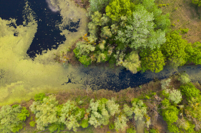 River pollution and nutrient neutrality