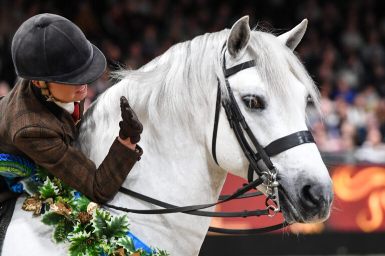 County Show selected as qualifier for prestigious horse show