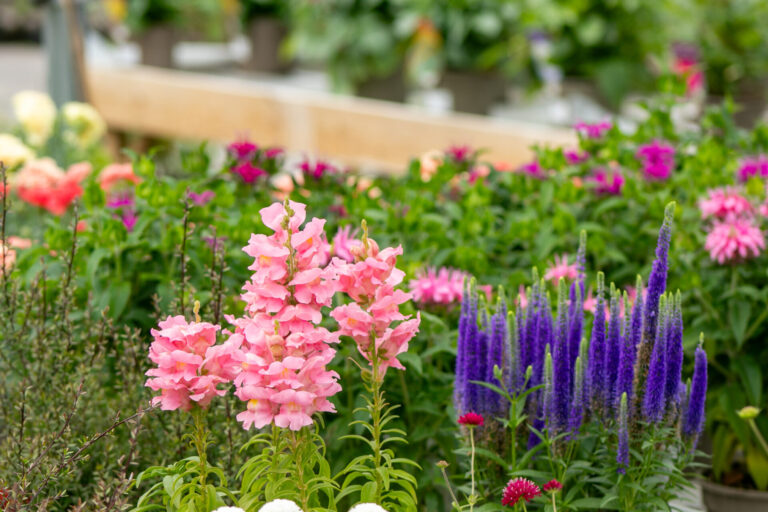More than a garden centre