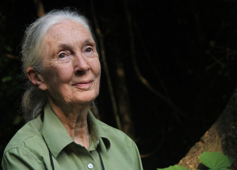 Renowned ethologist, passionate conservationist, inspiring activist … Dr Jane Goodall answers the Random 19 questions