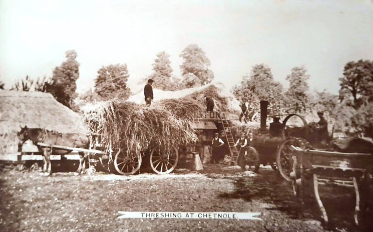 A Dorset harvest in postcards
