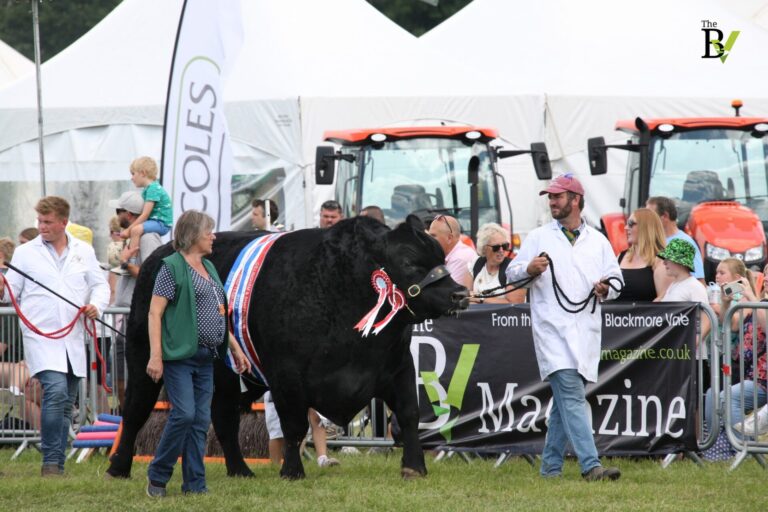 What a day we’ve had at the Gillingham & Shaftesbury Show!