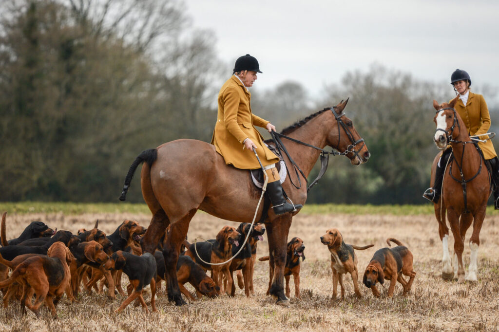 jeremy whaley and the south downs clean boot hunting