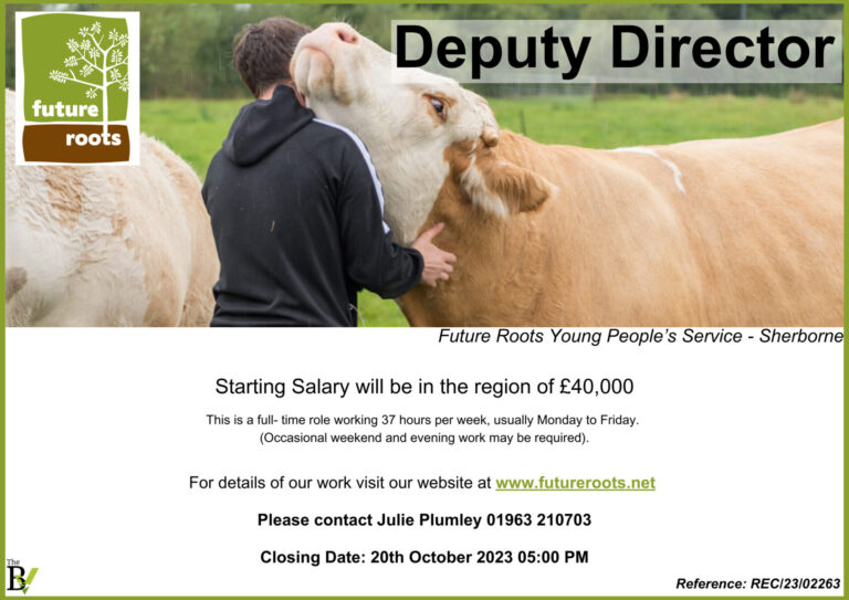 Deputy Director | Future Roots Young People’s Service – Sherborne