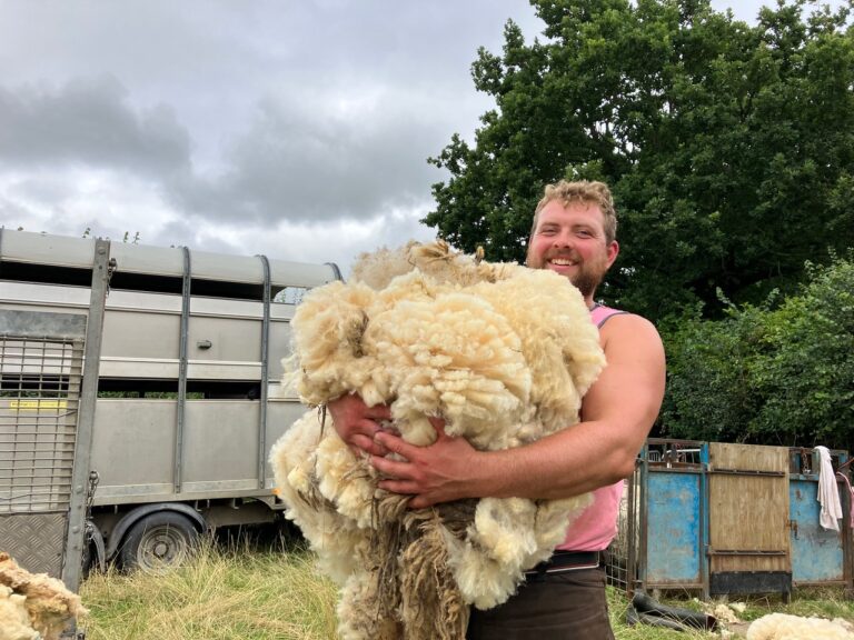 Exciting debut for 2023 – a G&S Sheep Shearing Competition