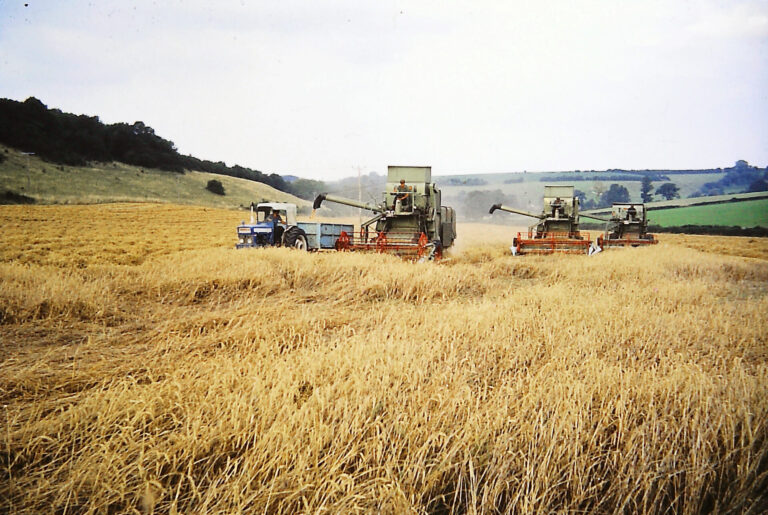 It’s a dodgy sort of harvest