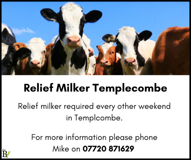 Relief Milker Templecombe