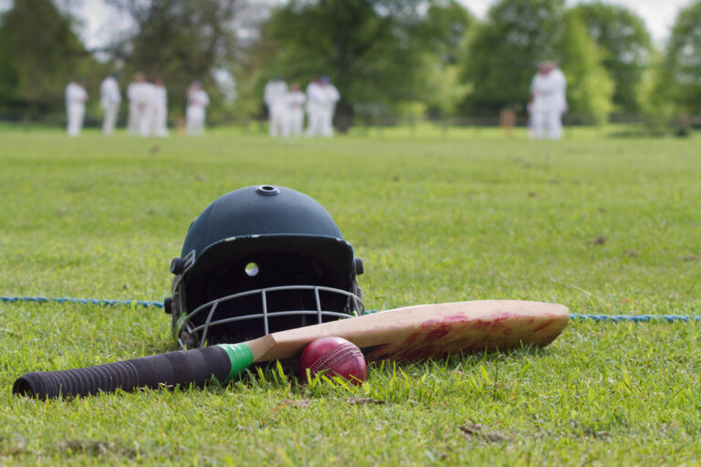 Wessex Internet Dorset Cricket joins the Premier League!
