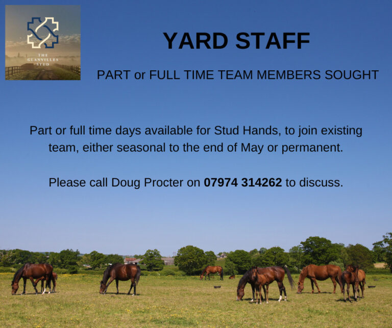 YARD STAFF – PART or FULL TIME TEAM MEMBERS SOUGHT | Glanvilles Stud