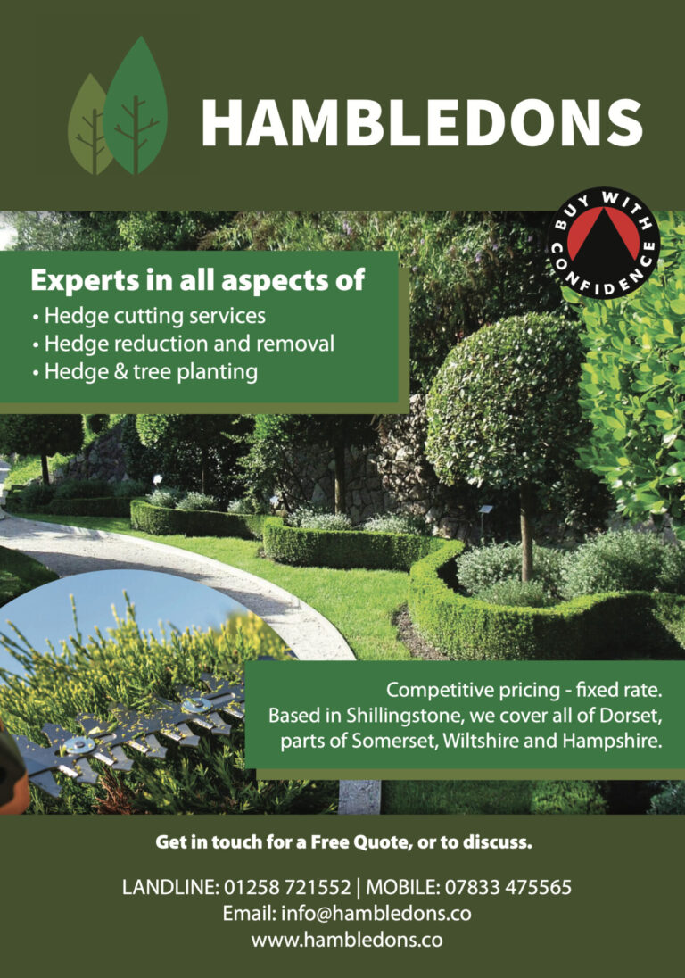 Hambledons: Dorset’s hedge cutting specialists
