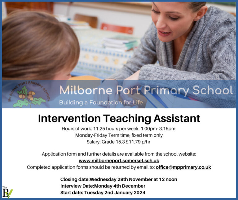 Intervention Teaching Assistant Milborne Port Primary School