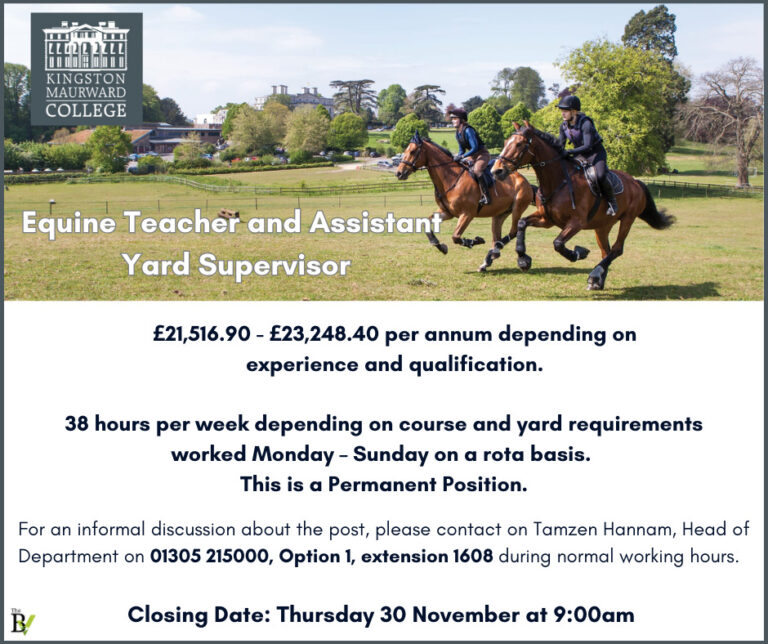 Equine Teacher and Assistant Yard Supervisor | Kingston Maurward College