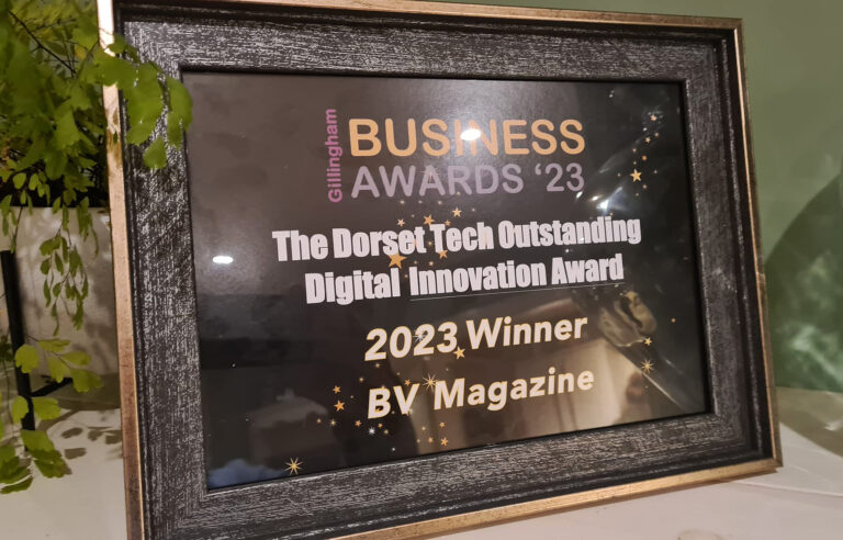 The BV Magazine – Digital Innovation Business Of The Year
