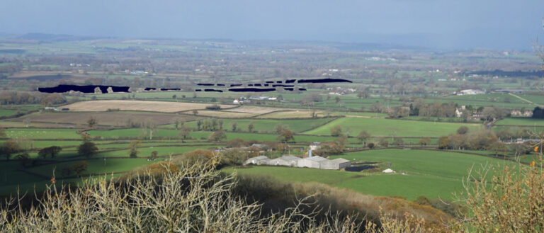 A Giant Solar Farm